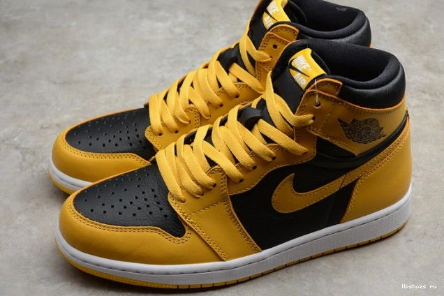 Pollen Jordan 555088-701 1 Air 0103